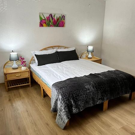 Appartment Zlatan Sarajevo Ngoại thất bức ảnh